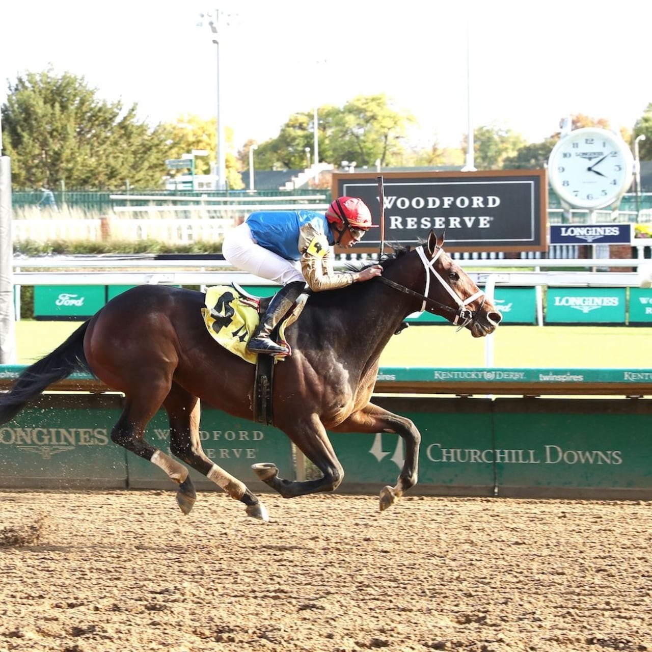 Commandment wins at Churchill Downs.