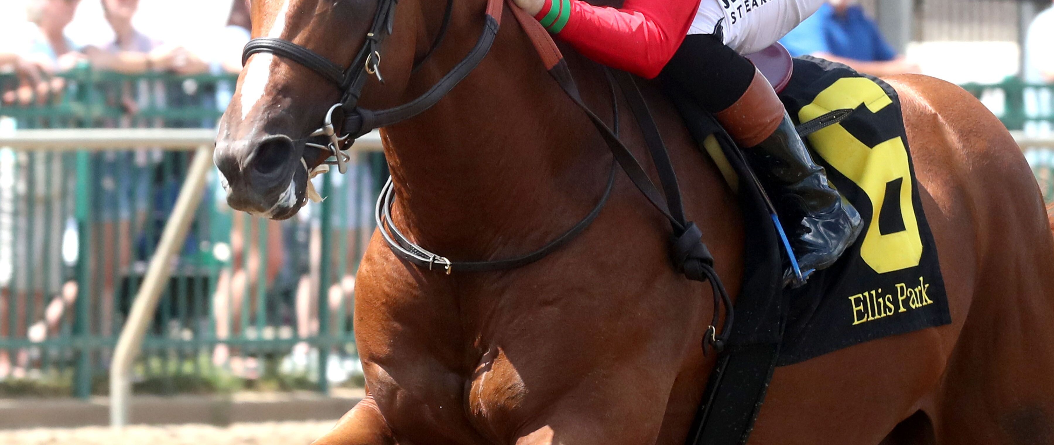 Comport wins the Ellis Park Juvenile at Ellis Park.