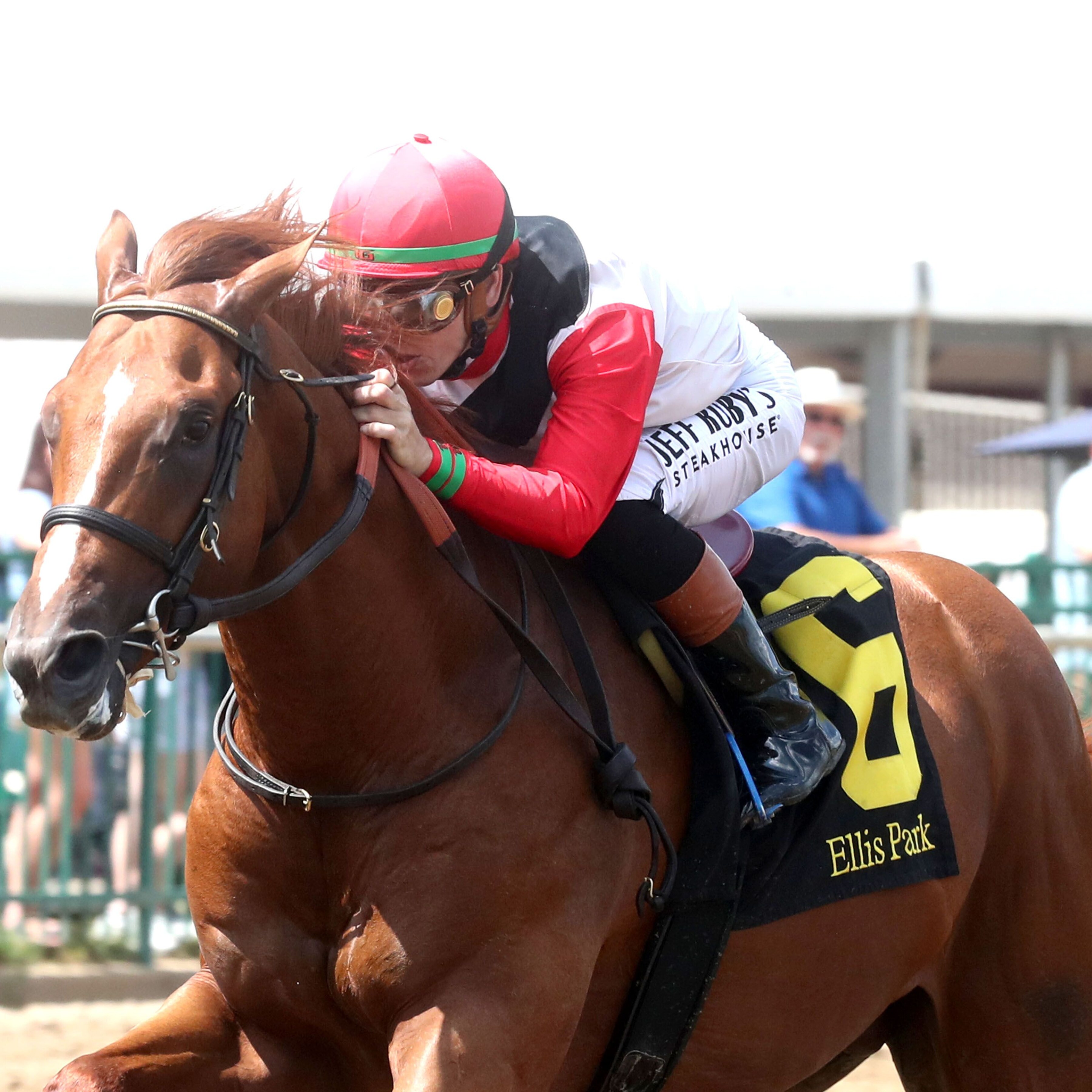 Comport wins the Ellis Park Juvenile at Ellis Park.