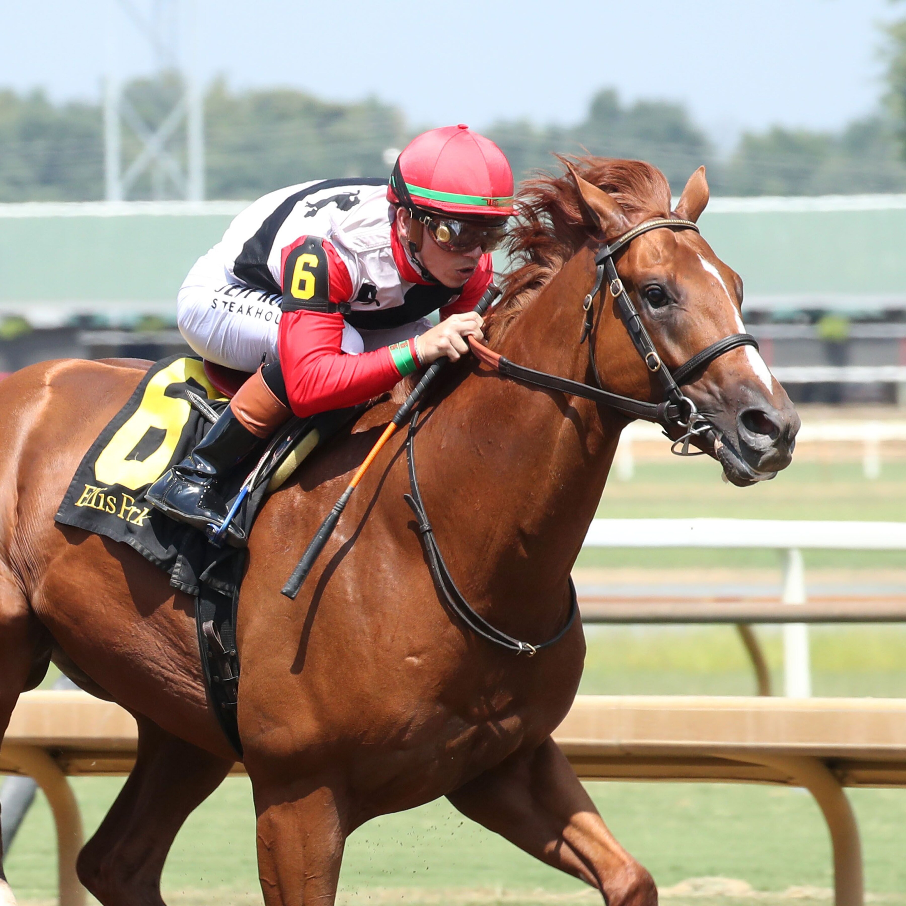 Comport wins the Ellis Park Juvenile at Ellis Park.