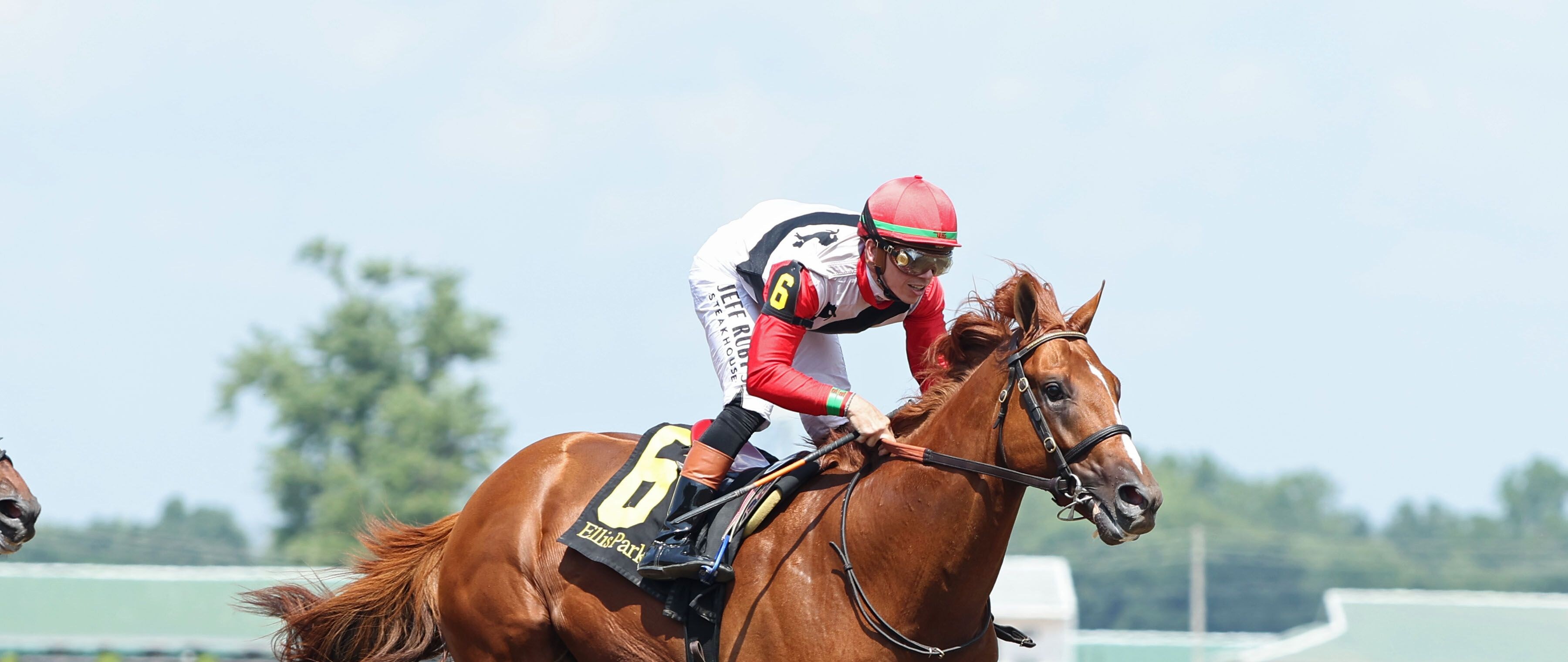 Comport wins the Ellis Park Juvenile at Ellis Park.
