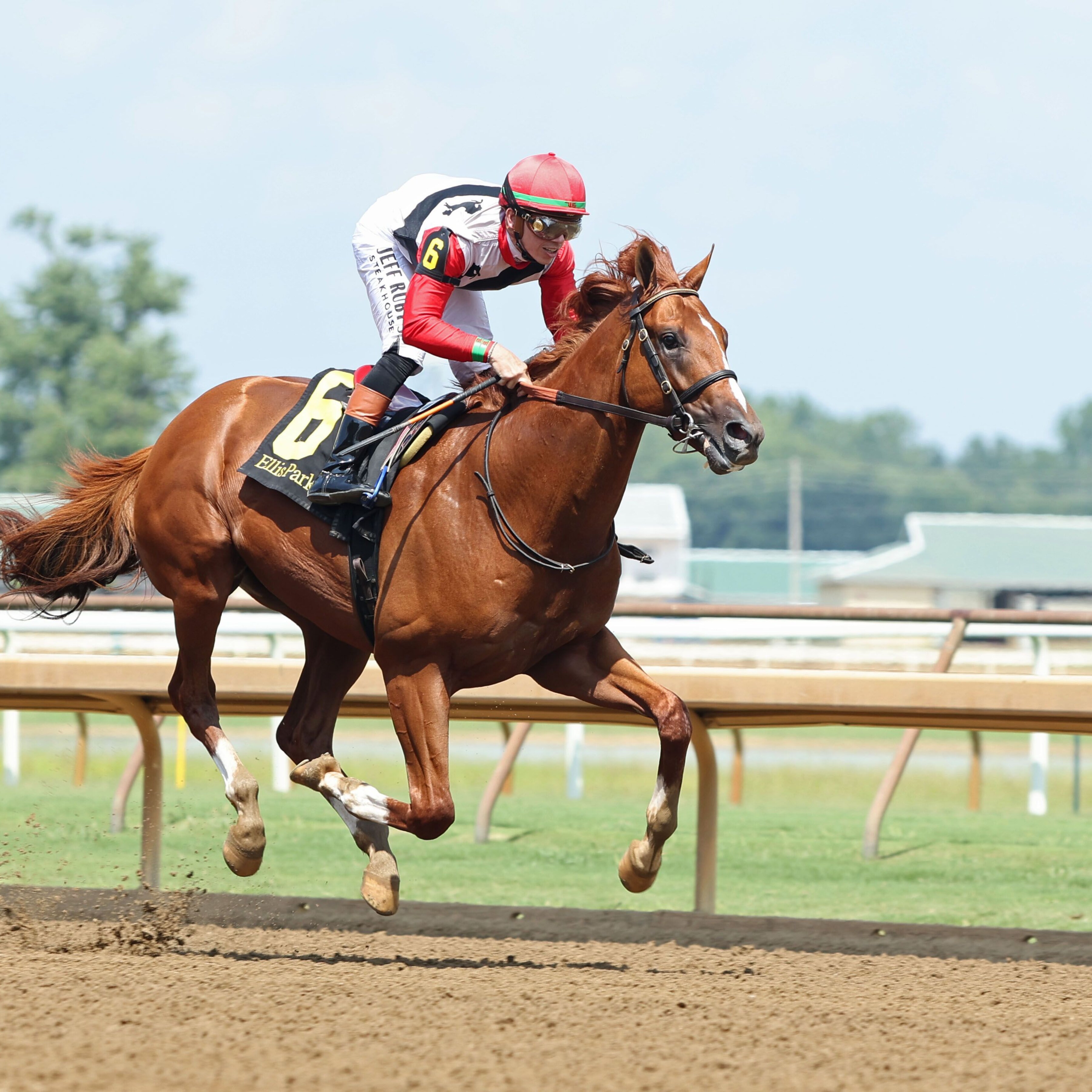 Comport wins the Ellis Park Juvenile at Ellis Park.