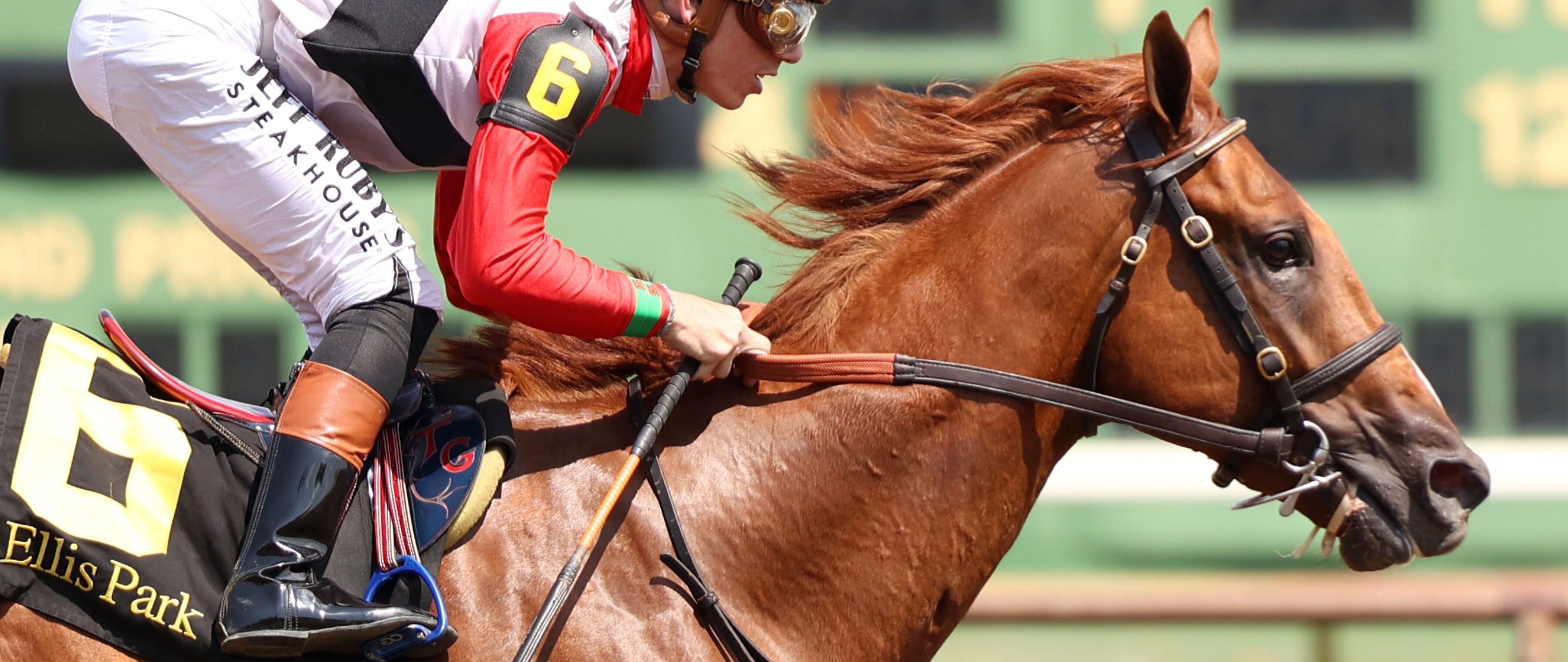 Comport wins the Ellis Park Juvenile at Ellis Park.