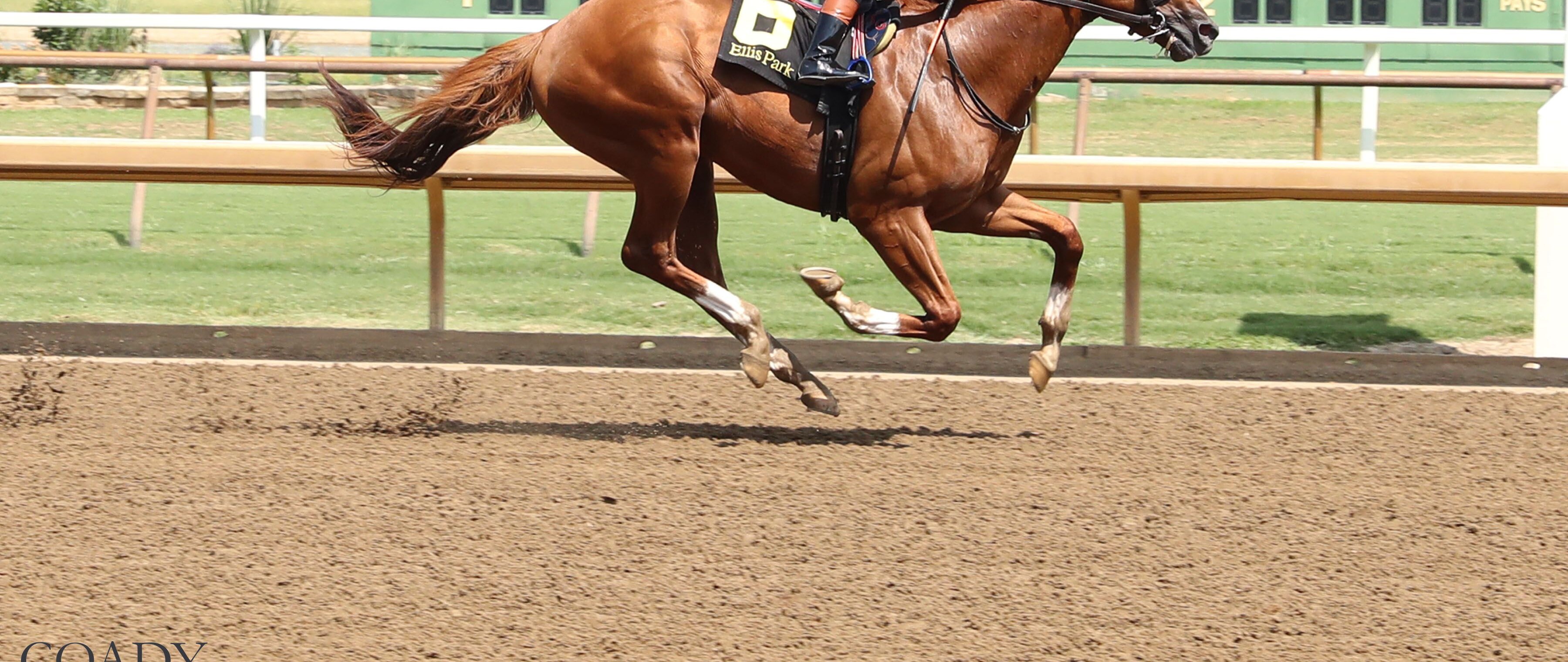 Comport wins the Ellis Park Juvenile at Ellis Park.