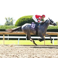 Confessional wins at Keeneland (Photo by Coady Media)