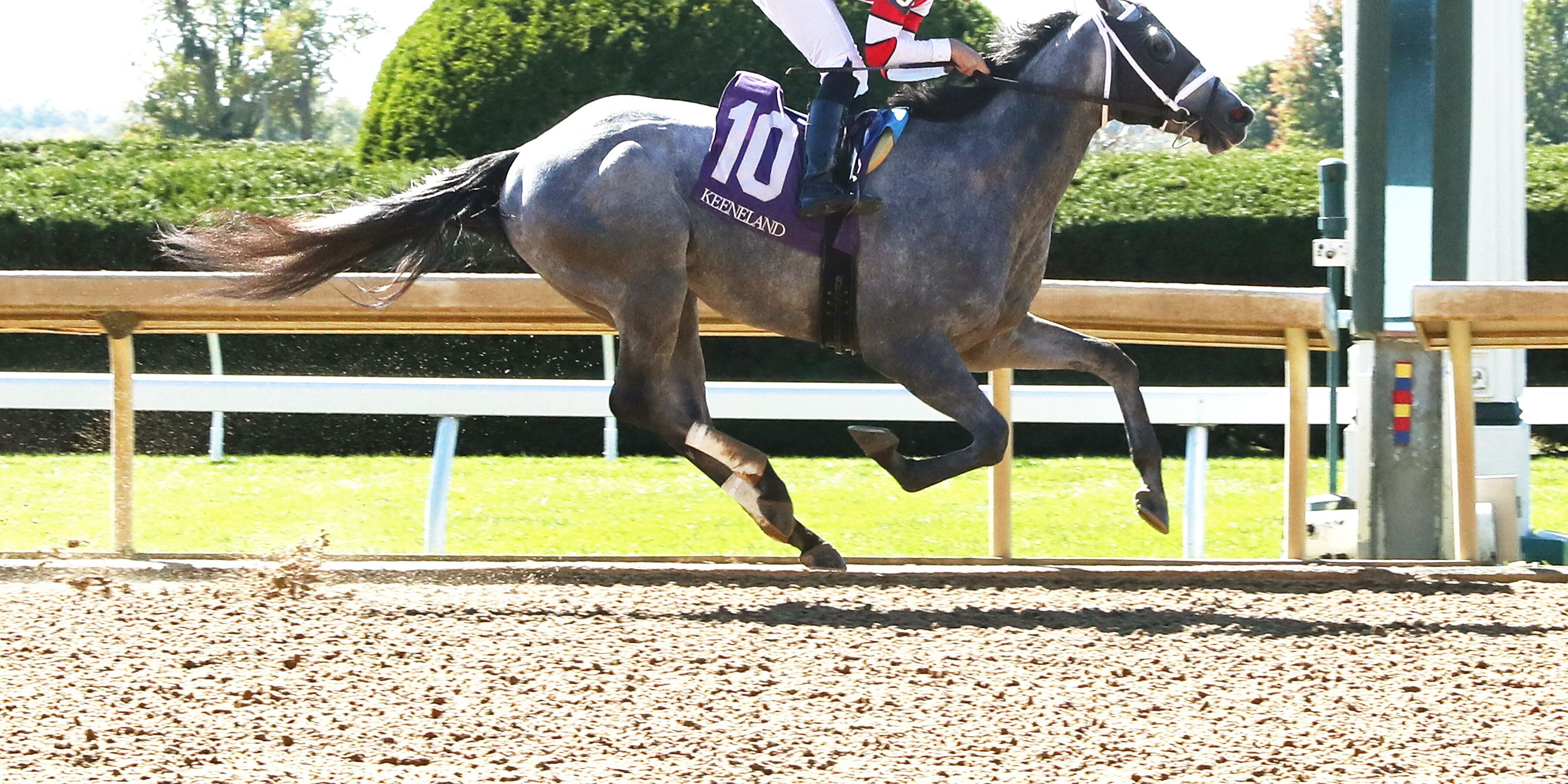 Confessional wins at Keeneland (Photo by Coady Media)