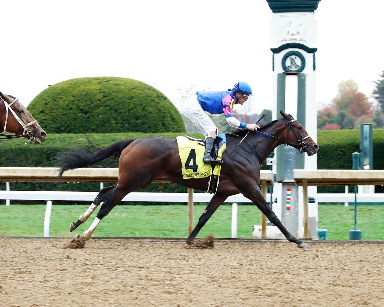 Corningstone at Keeneland (Photo by Coady Media)