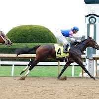 Corningstone at Keeneland (Photo by Coady Media)