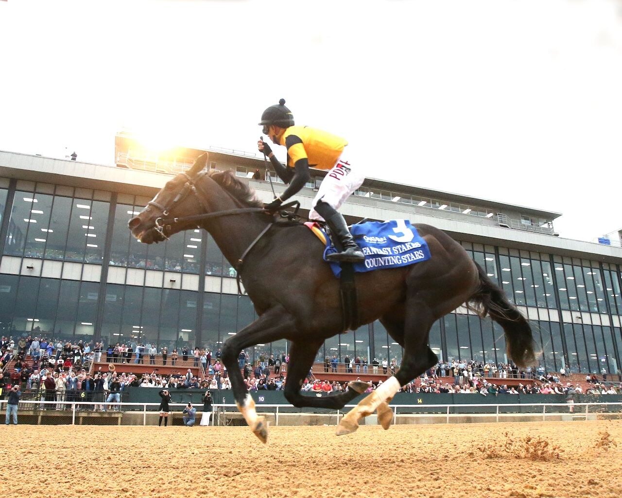 Counting Stars wins the Fantasy Stakes at Oaklawn.