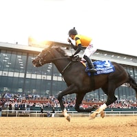 Counting Stars wins the Fantasy Stakes at Oaklawn. 