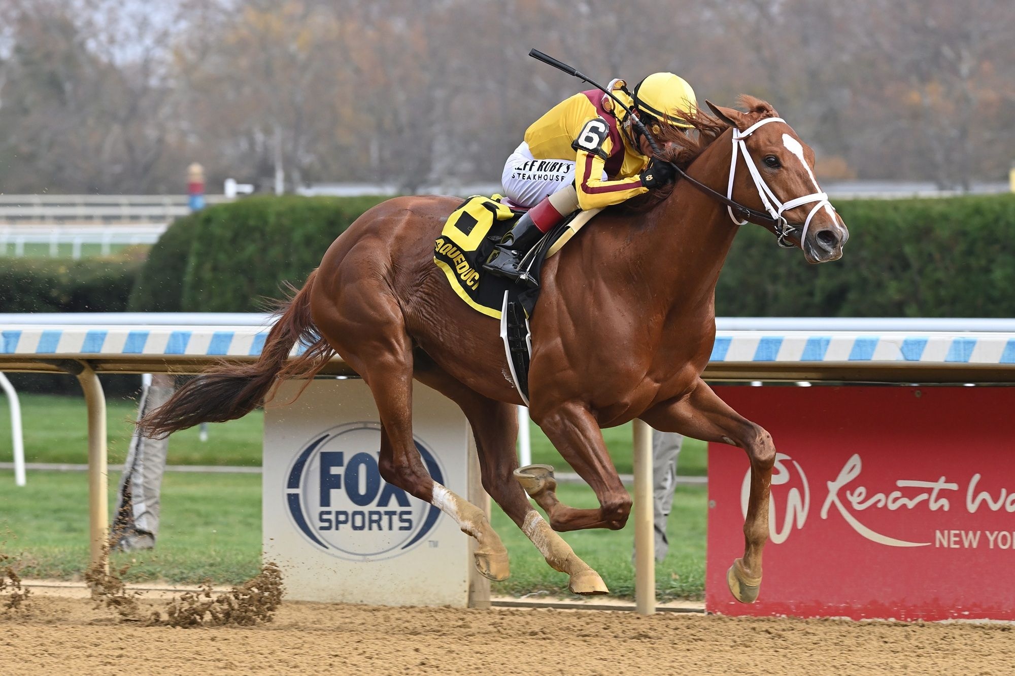 Courting breaking his maiden at Aqueduct