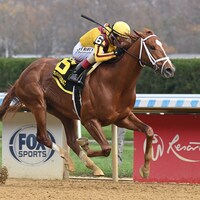 Courting breaking his maiden at Aqueduct