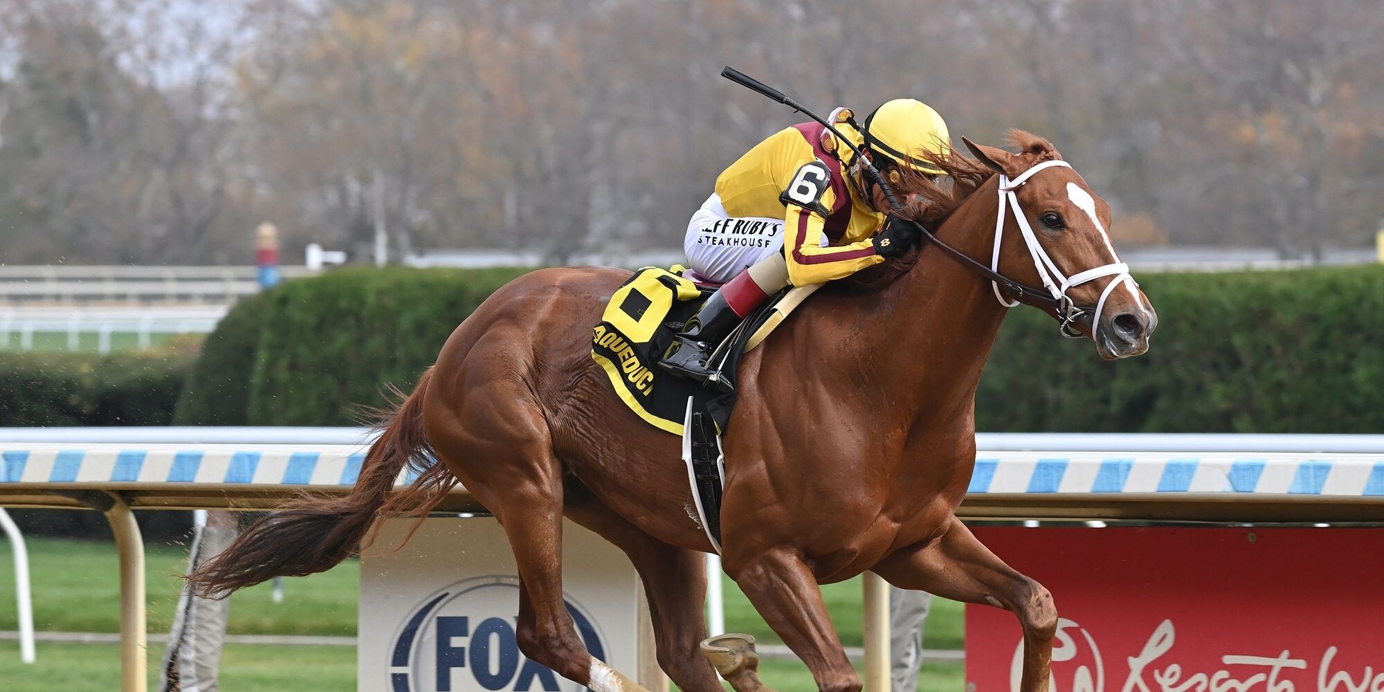Courting breaking his maiden at Aqueduct