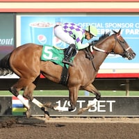 Cupid's Crush wins the Frances Genter Stakes at Caterbury Park.