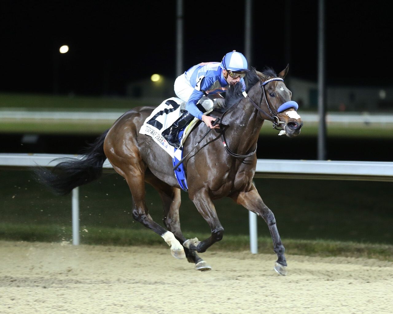 Current Climate wins at Turfway Park (Photo by Coady Photography)