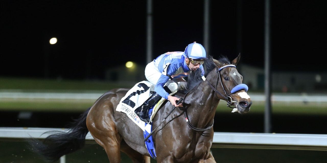 Current Climate wins at Turfway Park (Photo by Coady Photography)