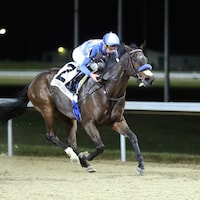 Current Climate wins at Turfway Park (Photo by Coady Photography)