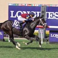 Cy Fair winning the Breeders' Cup Juvenile Turf Sprint (G1) at Del Mar