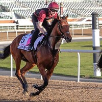 Cairo shown exercising at Meydan for the 2023 UAE Derby