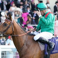 Calandagan shown after winning the 2024 King Edward VII at Royal Ascot