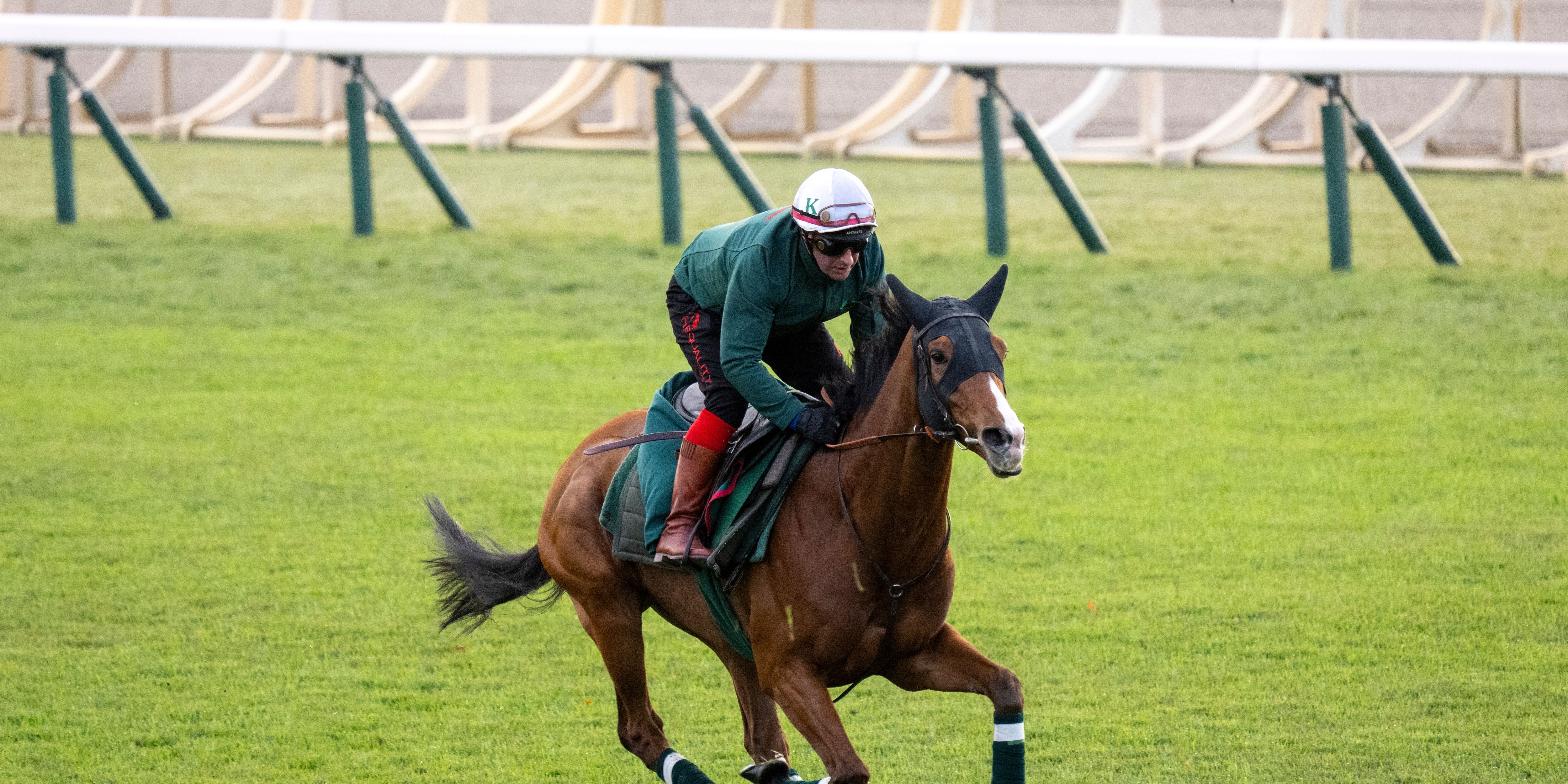 Calandagan trains for the 2025 Japan Cup (G1)
