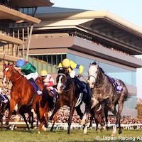Calandagan edges Masquerade Ball and the riderless Admire Terra in the Japan Cup (G1)