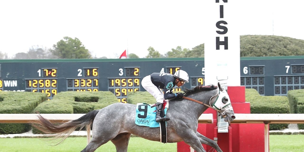 Caldera wins at Oaklawn Park.