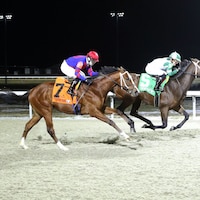 California Burrito winning the John Battaglia Memorial S. at Turfway Park (Photo by Coady Media/Turfway Park)