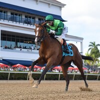 Canaletto winning his debut at Gulfstream Park