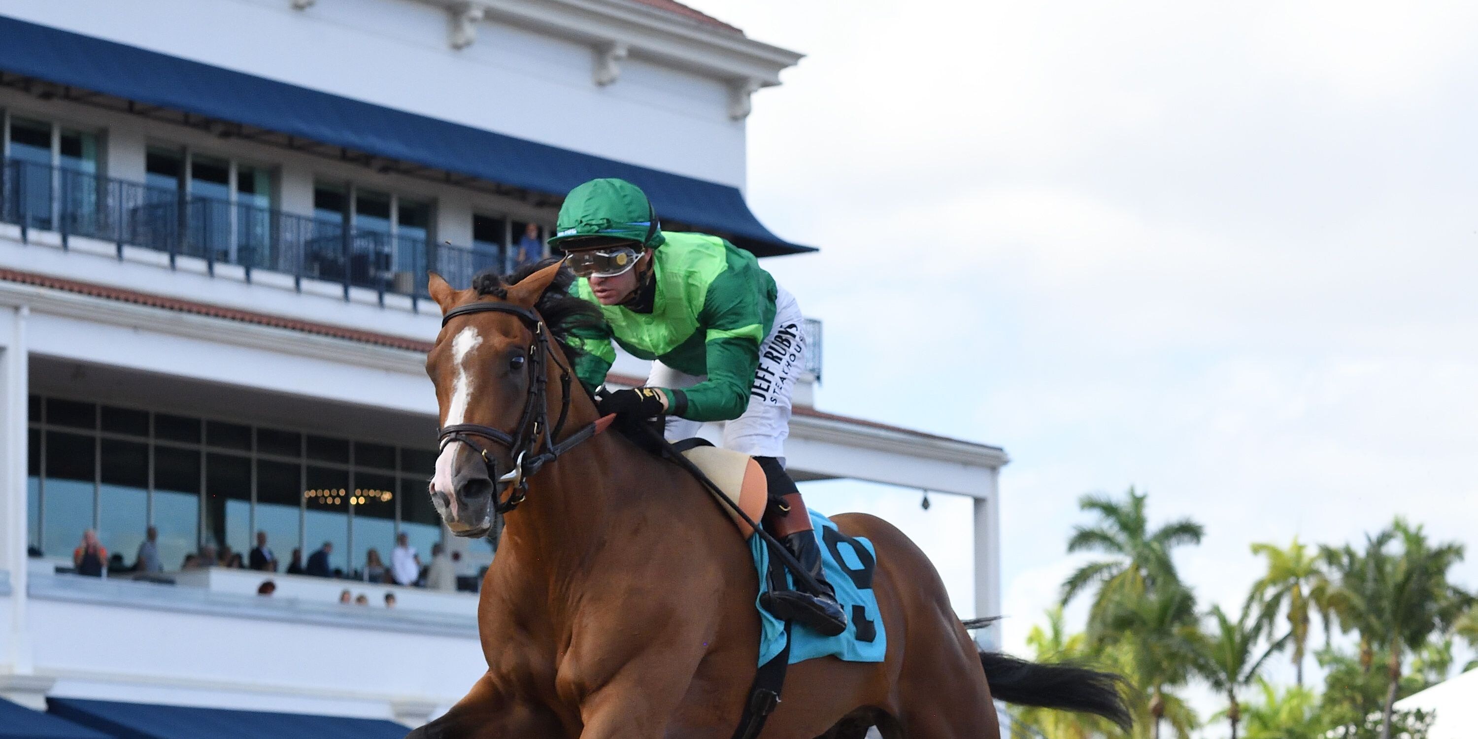 Canaletto winning his debut at Gulfstream Park