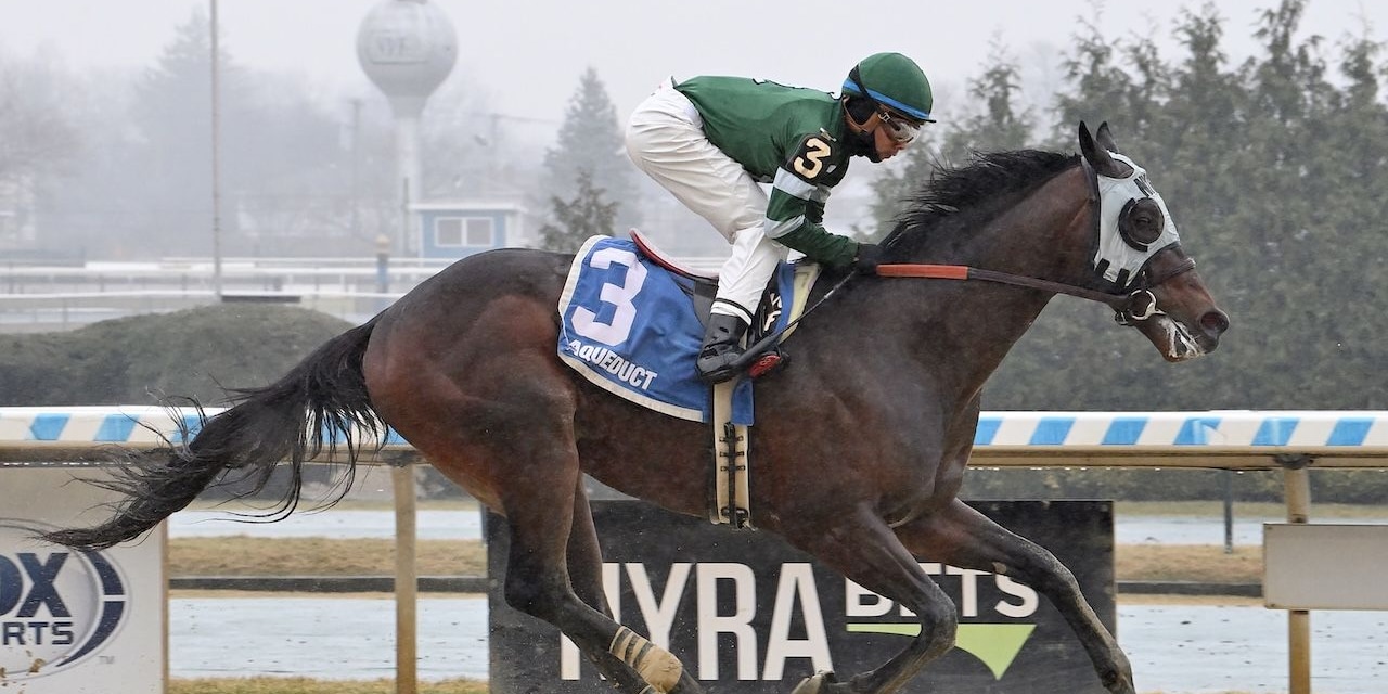 Captain Cook wins at Aqueduct. (Photo by Coglianese Photo)