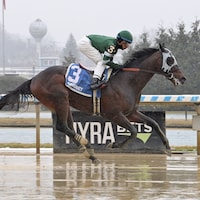 Captain Cook wins at Aqueduct. (Photo by Coglianese Photo)