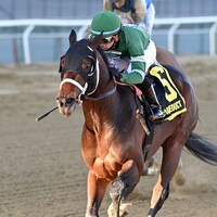 Captain Cook winning the Withers S. at Aqueduct (Photo by Coglianese Photos/Joe Labozzetta)