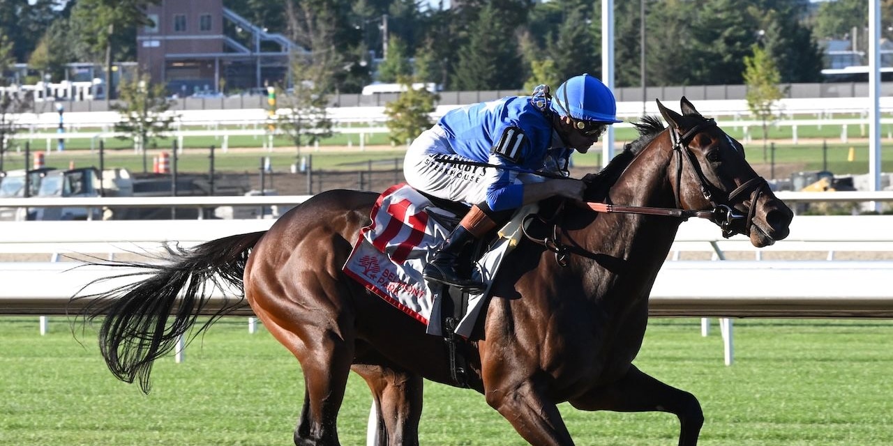 Card Man wins at Belmont Park. 