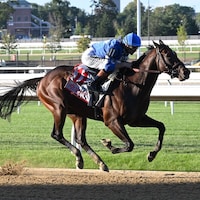 Card Man wins at Belmont Park.