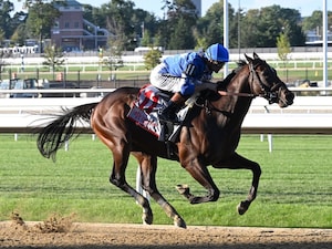 Card Man wins at Belmont Park.