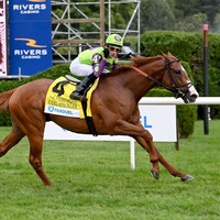 Carl Spackler winning the Fourstardave H. (G1) at Saratoga (Photo by Coglianese Photos)