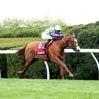 Carl Spackler wins the Maker's Mark Mile at Keeneland.