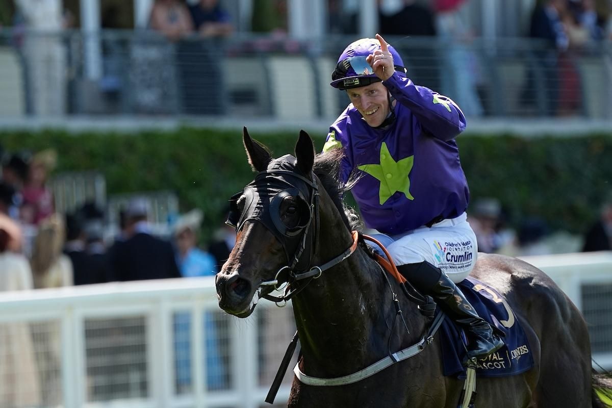 Carmers won the 2025 Queen's Vase (G2)