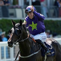Carmers won the 2025 Queen's Vase (G2)