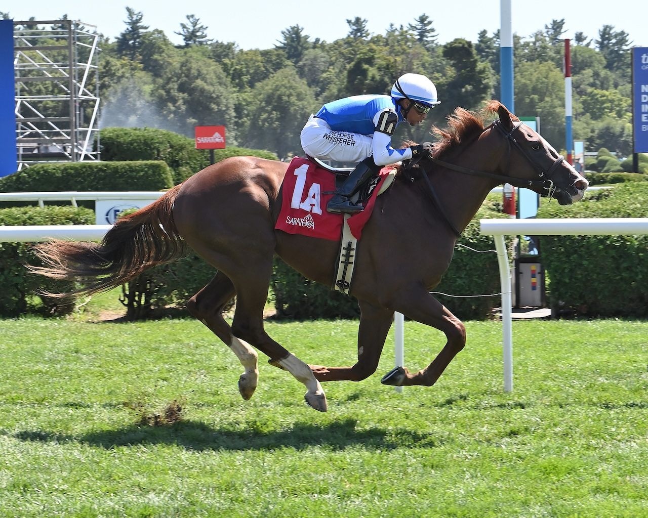 Caroline St Beat breaks her maiden at Saratgoa.