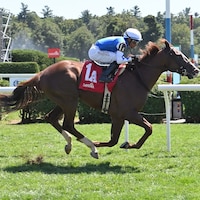 Caroline St Beat breaks her maiden at Saratgoa.