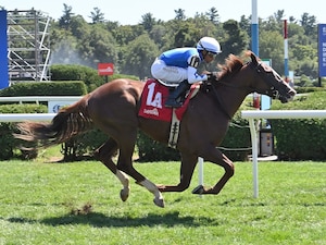 Caroline St Beat breaks her maiden at Saratgoa.