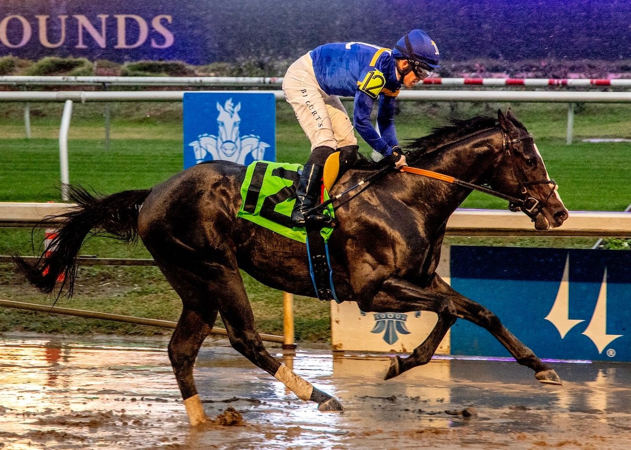 Carson Street wins at Fair Grounds.