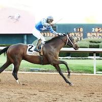 Catching Freedom winning the Smarty Jones S. at Oaklawn Park. (Photo by Coady Photography)