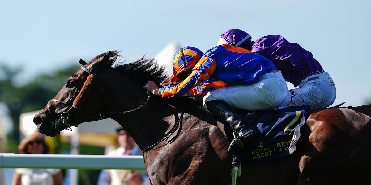 Causeway scored his signature win in the King Edward VII (G2) at Royal Ascot