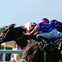 Causeway scored his signature win in the King Edward VII (G2) at Royal Ascot