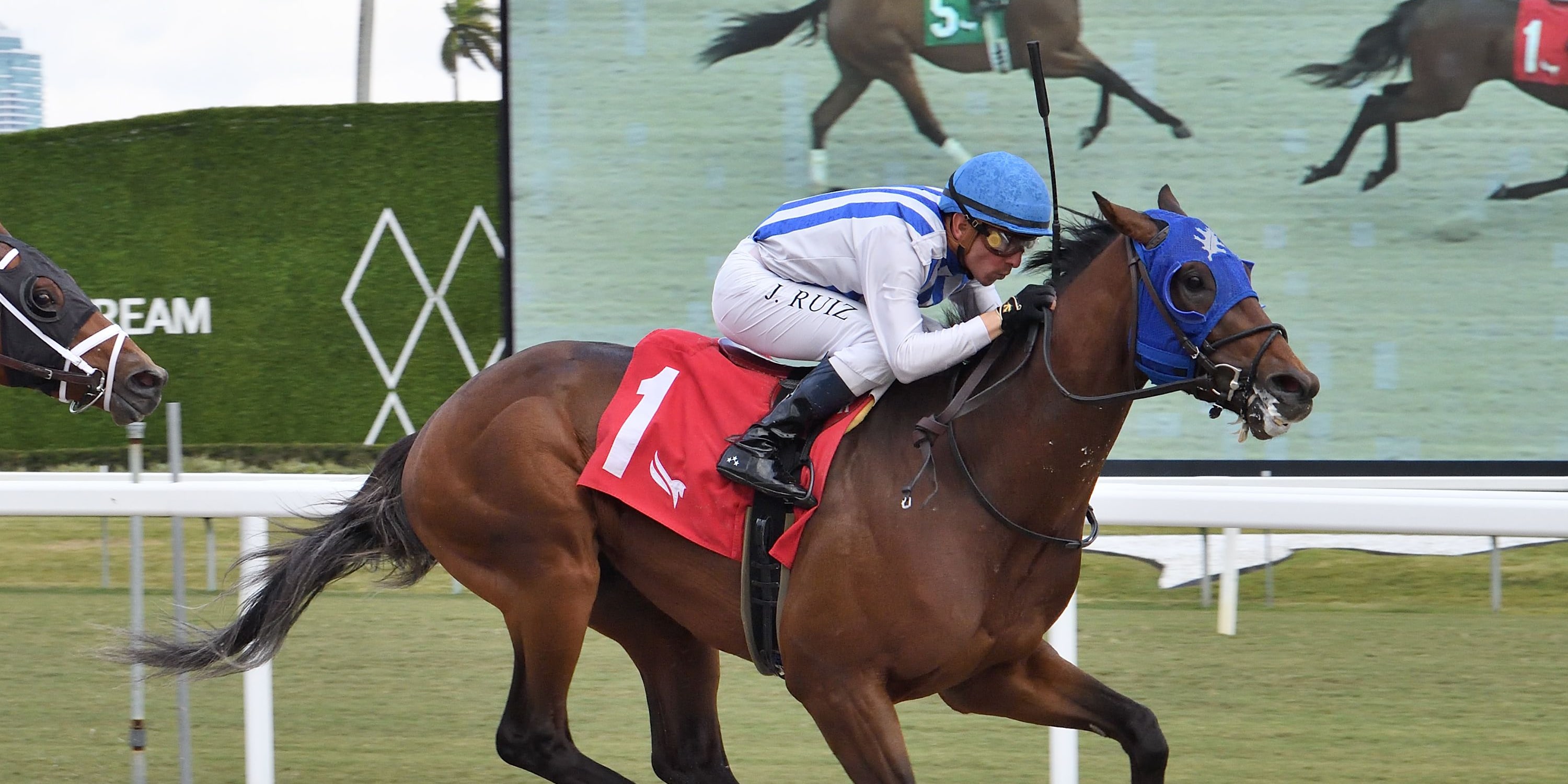 Chaos Agent wins at Gulfstream Park. 