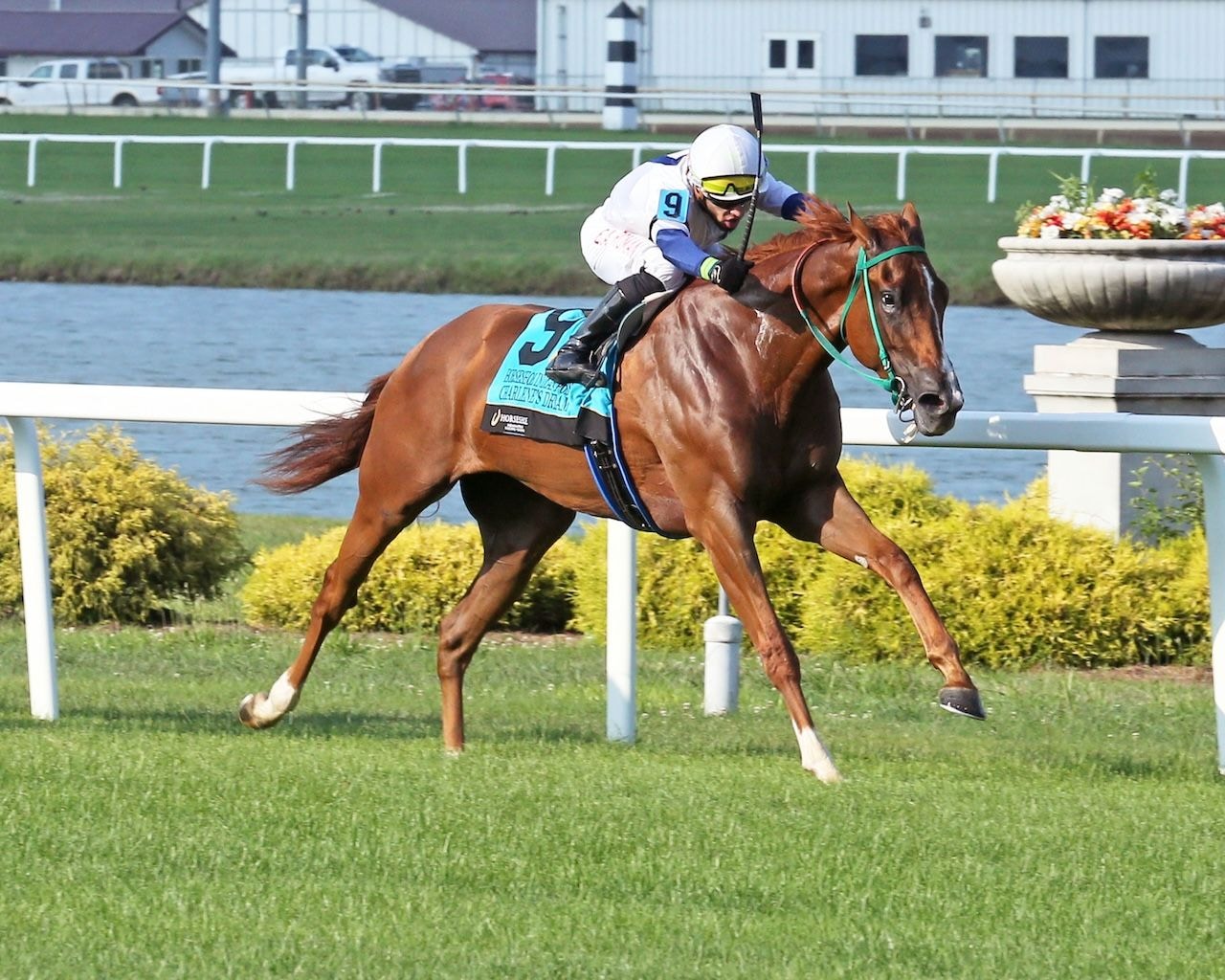 Charlene's Dream wins at Horseshoe Indianapolis.