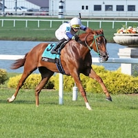 Charlene's Dream wins at Horseshoe Indianapolis.